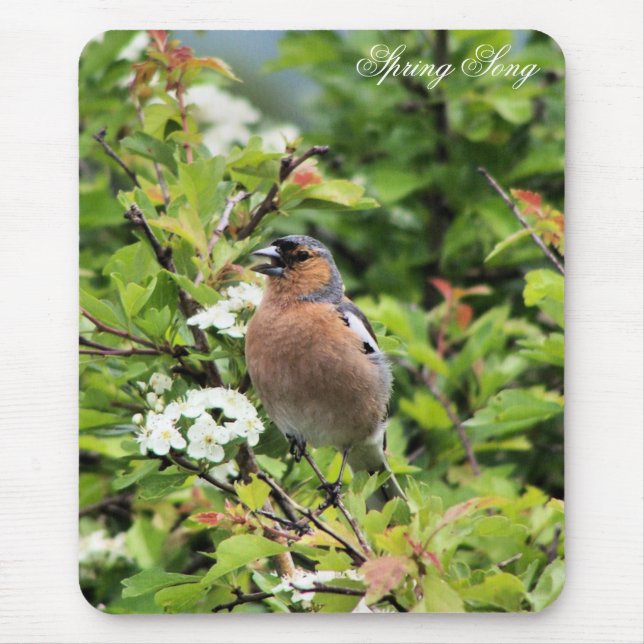 MOUSEPAD CHAFFINCH (Frente)