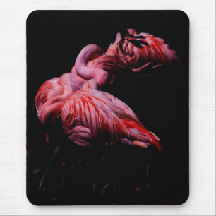 Mousepad Chamas na Escuridão