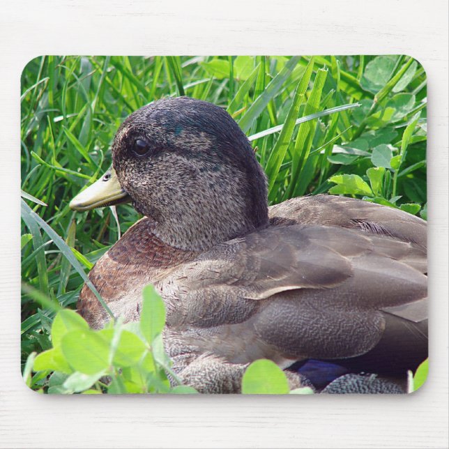 Mousepad Chame Duck Drake (Frente)