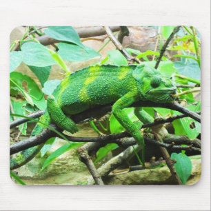 Mousepad Chameleon animal