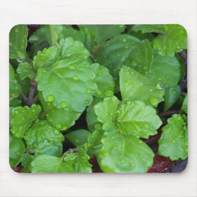 Mousepad Charlie de rastejamento (Frente)