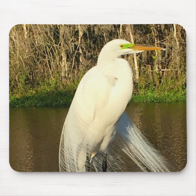 Mousepad Charlie The Great Egret (Frente)