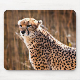 Mousepad Cheetah