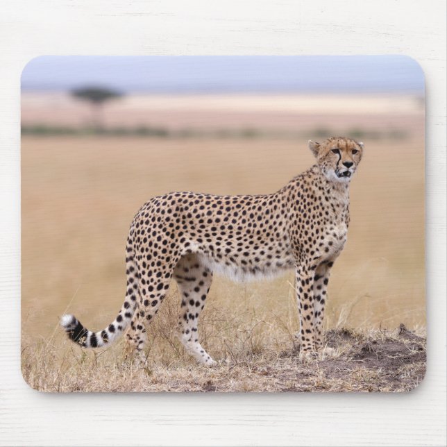 Mousepad Cheetah (Frente)