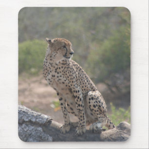 Mousepad Cheetah