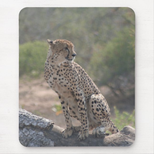 Mousepad Cheetah (Frente)