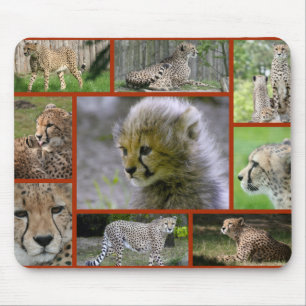 Mousepad Cheetah-Collage 001 Poster
