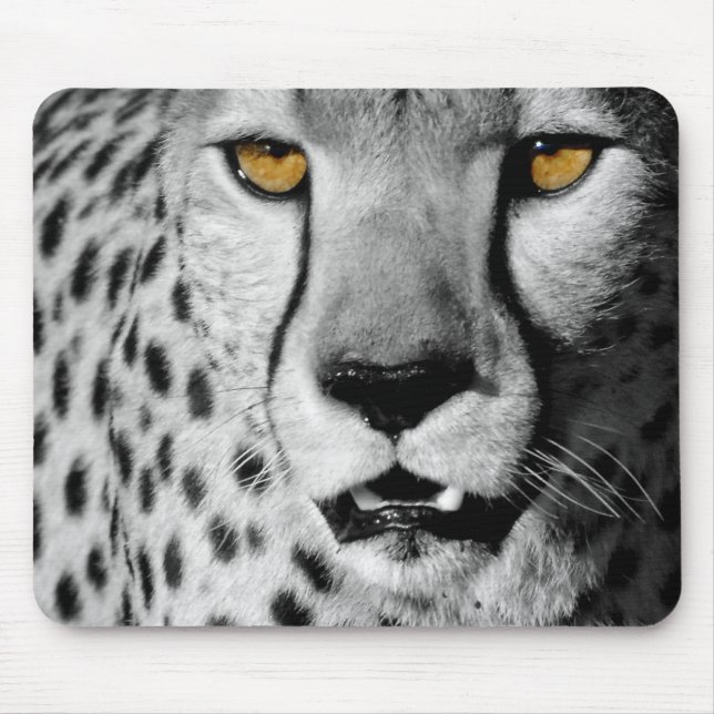 Mousepad Cheetah em white black and (Frente)