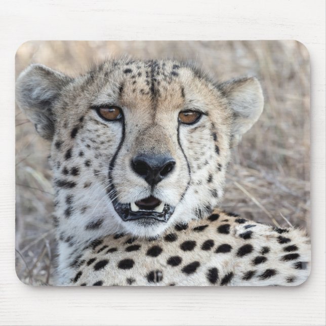 Mousepad Cheetah Portrait (Frente)