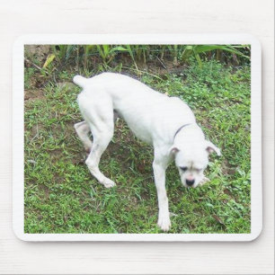 Mousepad Cheio branco do filhote de cachorro do pugilista