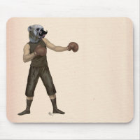 Cheio Bulldog de Boxing 2