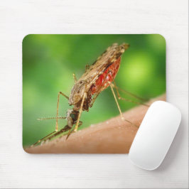 Mousepad Cheio do Inseto Sanguíneo de Mosquito