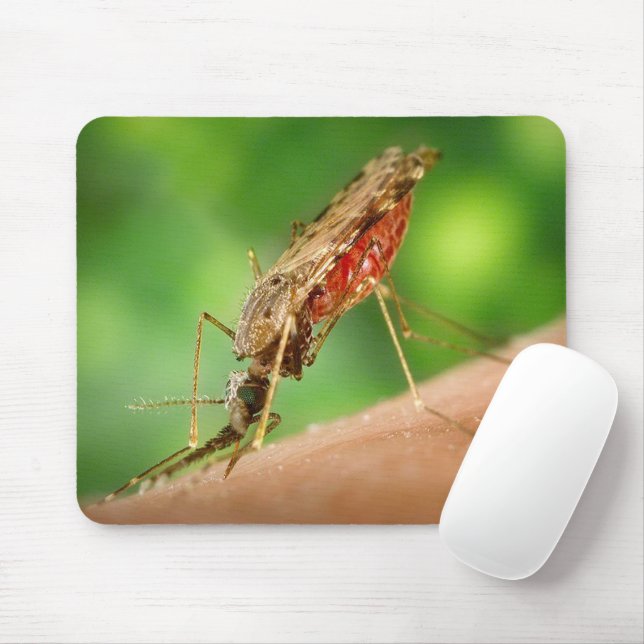 Mousepad Cheio do Inseto Sanguíneo de Mosquito (Com mouse)