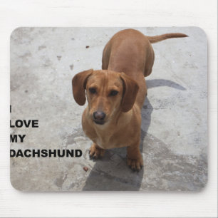 Mousepad cheio vermelho dachshund amor w pic