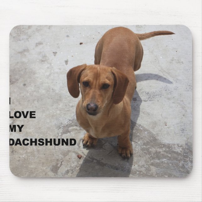 Mousepad cheio vermelho dachshund w pic (Frente)