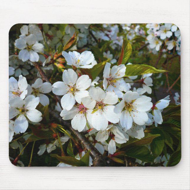 Mousepad Cherry Blossom II (Frente)