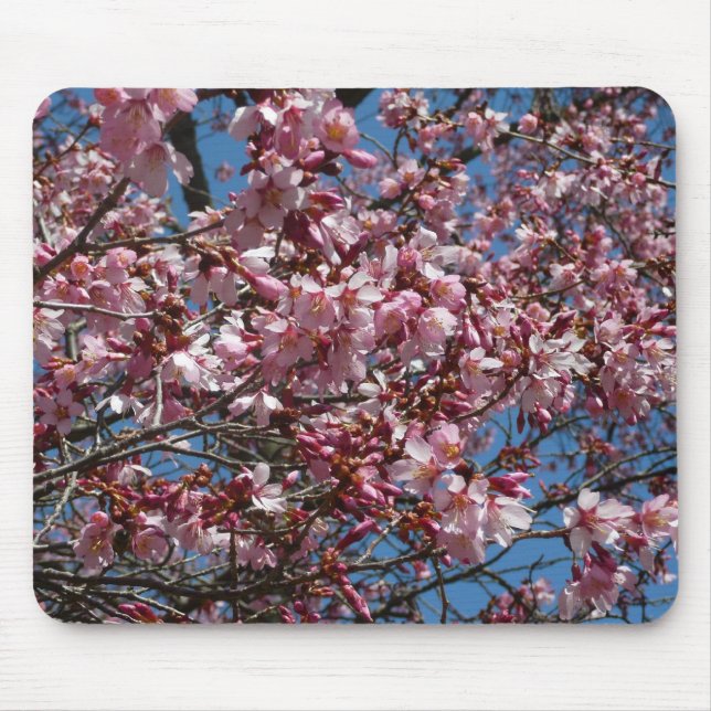 Mousepad Cherry Blossoms e Blue Sky Primavera Floral (Frente)