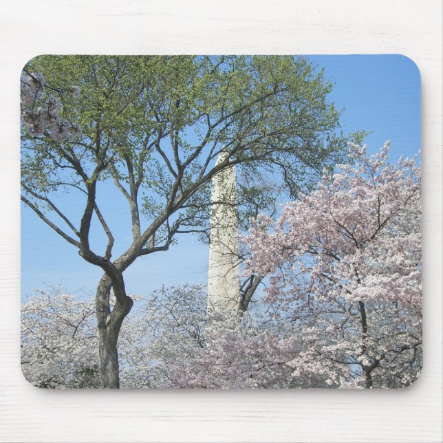 Mousepad Cherry Blossoms e o Monumento de Washington em DC (Frente)