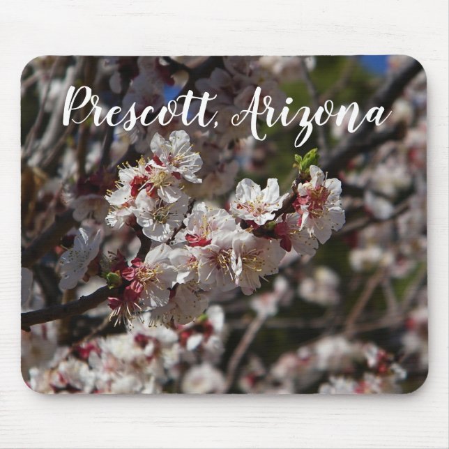 Mousepad Cherry Blossoms florescendo em Prescott,Arizona (Frente)