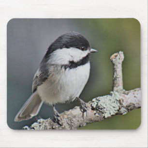 Mousepad Chickadee