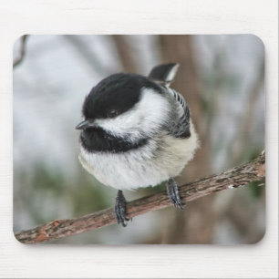 Mousepad Chickadee pequeno bonito