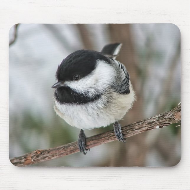 Mousepad Chickadee pequeno bonito (Frente)