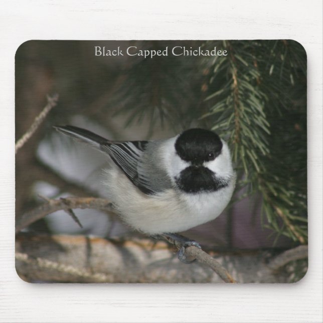 Mousepad Chickadee Preto (Frente)