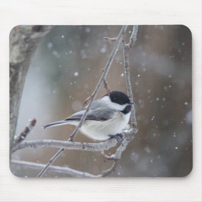 Mousepad Chickadee Preto-tampado - aves canoras (Frente)