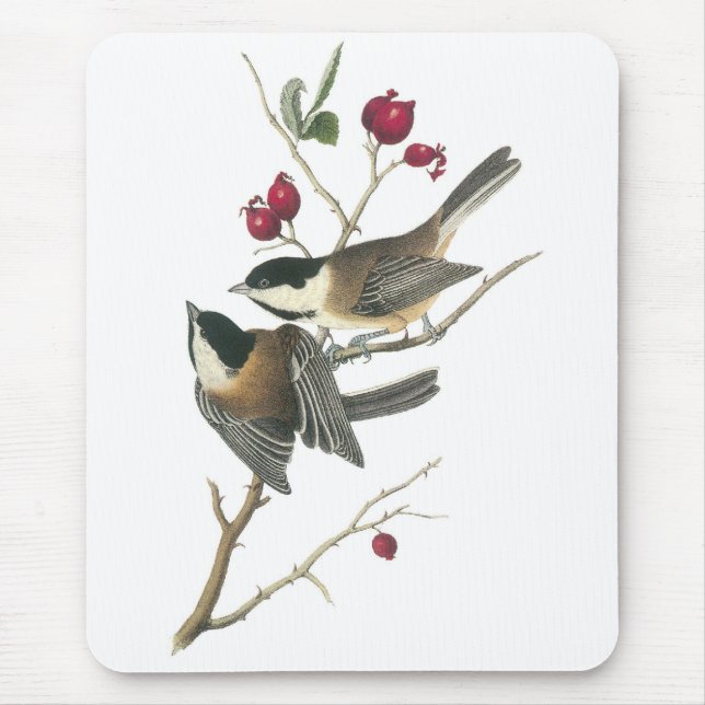 Mousepad Chickadee Preto-tampado, John Audubon (Frente)