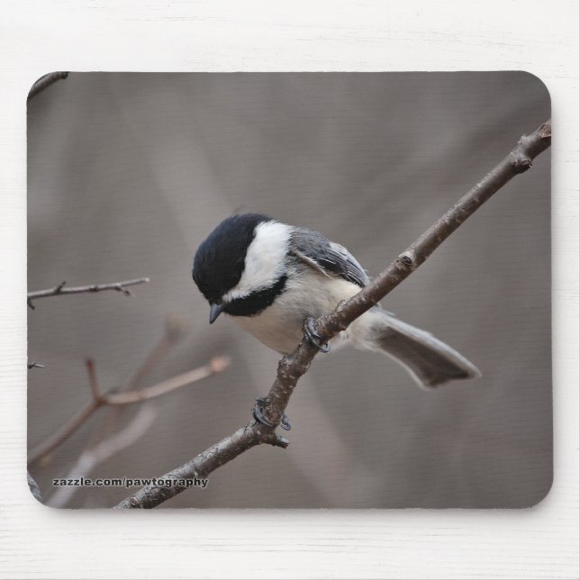 Mousepad Chickadee tampado preto (Frente)