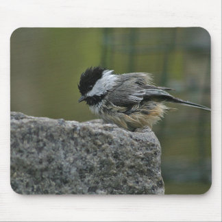 Mousepad Chickdee que toma o banho