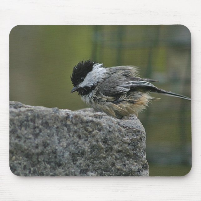 Mousepad Chickdee que toma o banho (Frente)
