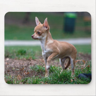Mousepad Chihuahua