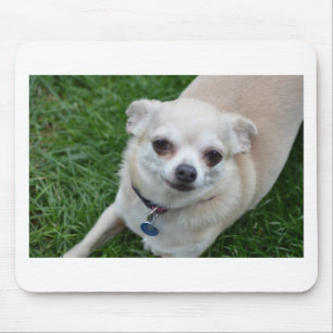 Mousepad Chihuahua