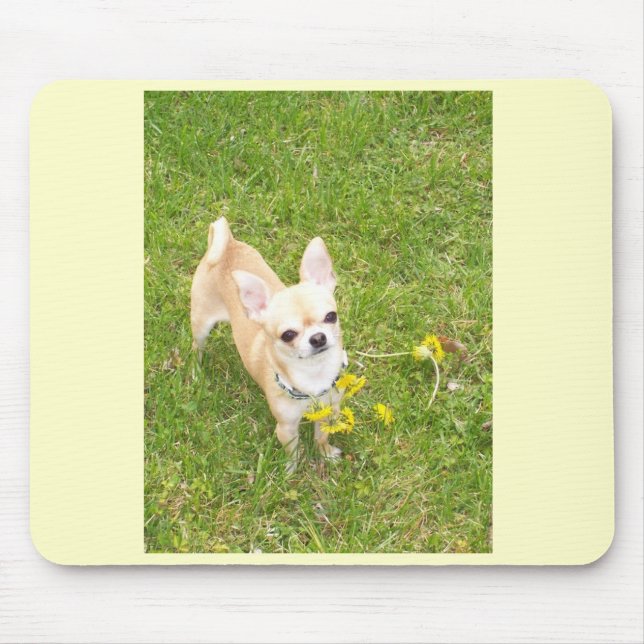 Mousepad Chihuahua (Frente)
