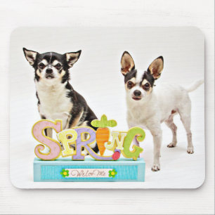 Mousepad Chihuahua do primavera