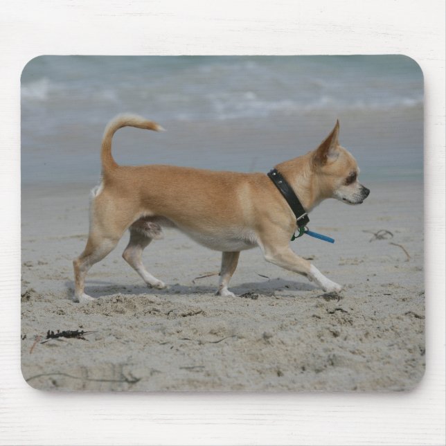 Mousepad Chihuahua na praia (Frente)
