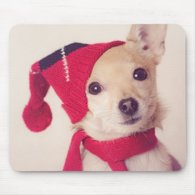 Mousepad Chihuahua no boné do inverno (Frente)