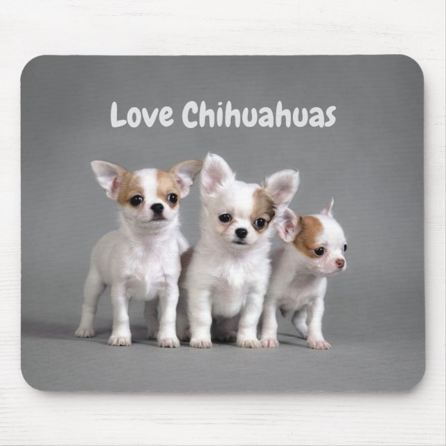 Mousepad Chihuahuas do amor (Frente)