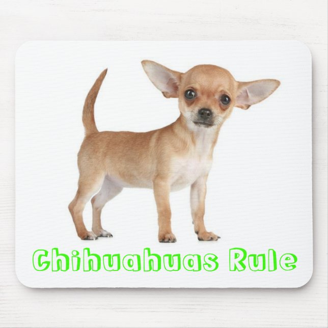 Mousepad Chihuahuas Regra de Cachorro Cachorro Cachorro Pup (Frente)
