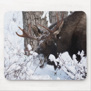 Mousepad Chilly Moose