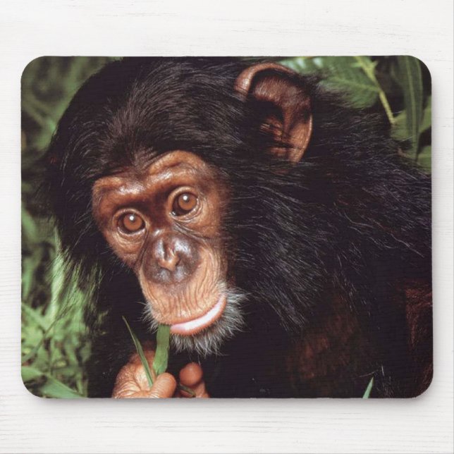Mousepad Chimpansee (Frente)