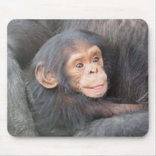 Mousepad Chimpanzé
