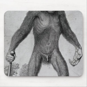 Mousepad Chimpanzé, 1699