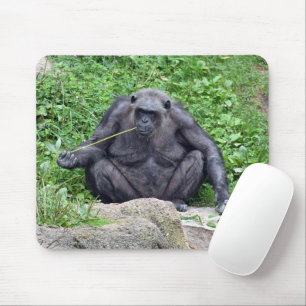 Mousepad Chimpanzé Comendo Grama
