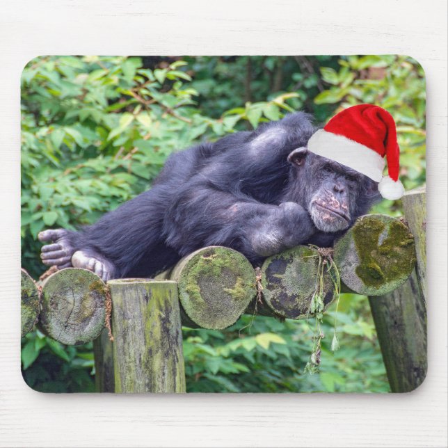 Mousepad Chimpanzé de Natal com um Chapéu Santa (Frente)
