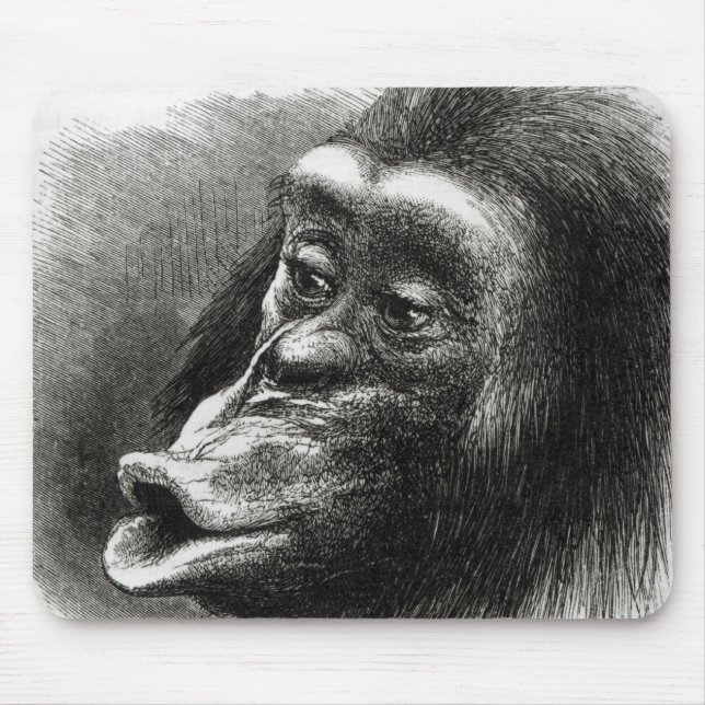 Mousepad Chimpanzé decepcionado e Sulky (Frente)