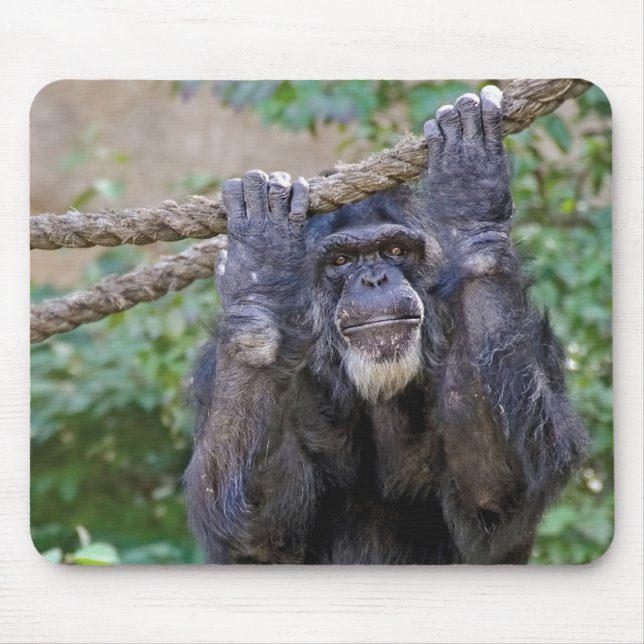 Mousepad Chimpanzé em corda (Frente)