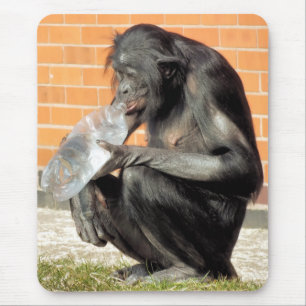 MOUSEPAD CHIMPANZÉ ENGRAÇADO