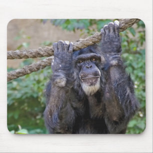 Mousepad Chimpanzé na corda